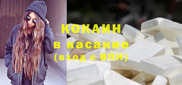 мдпв Магас