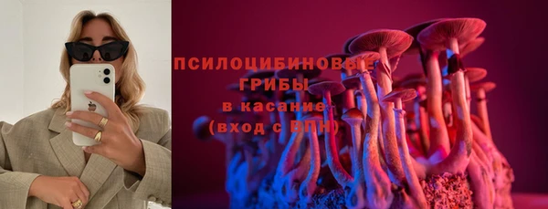 мдпв Магас