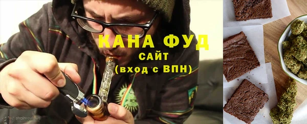 мдпв Магас