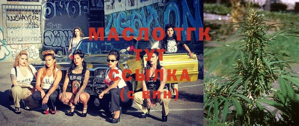 мдпв Магас