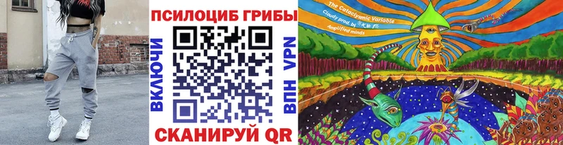 Галлюциногенные грибы Cubensis  Югорск 